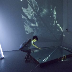 The Instrument, The Scape of Pulse 2, 2019