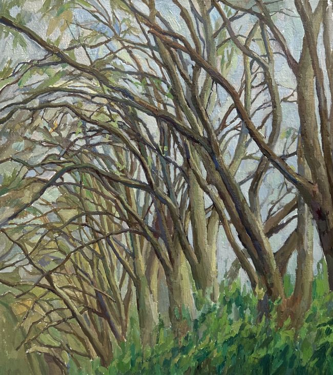 Study for Plane Trees on Hackney Marshes in Spring, 2021